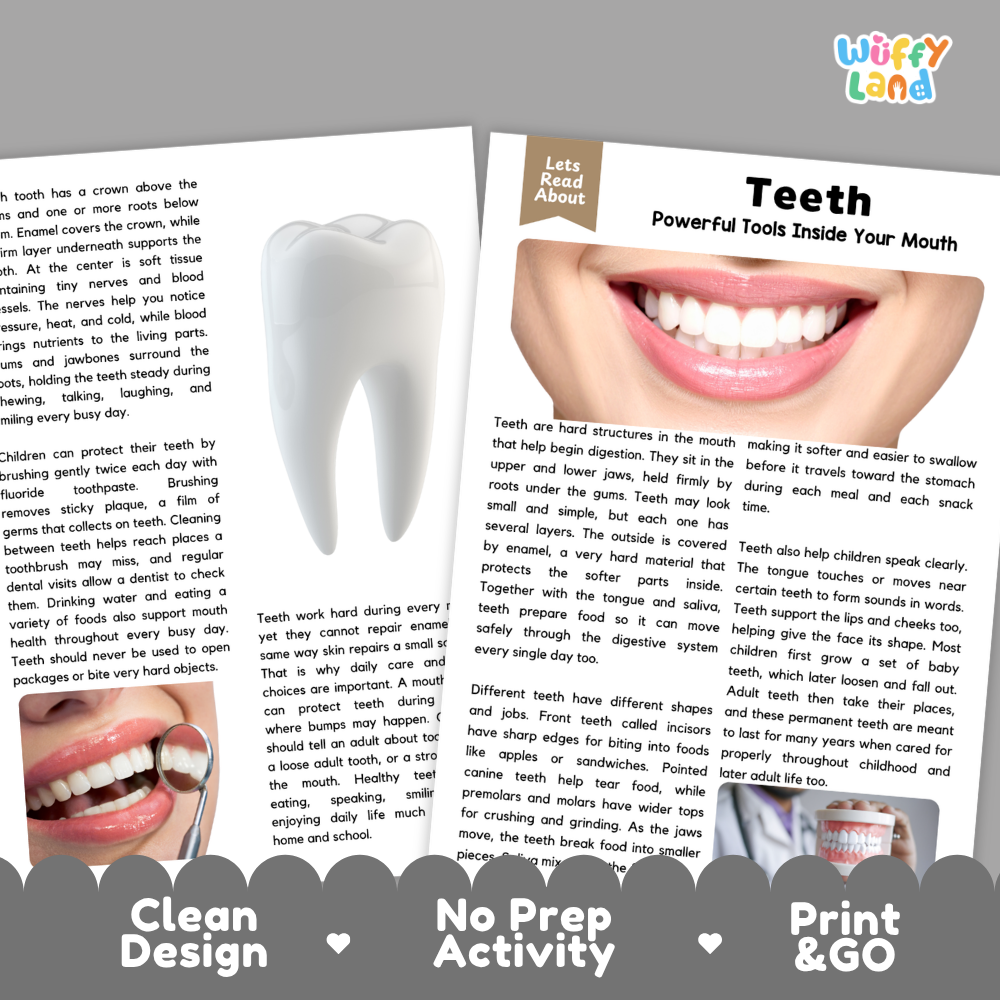 Teacher answer key page showing complete question solutions for Teeth human body reading comprehension practice