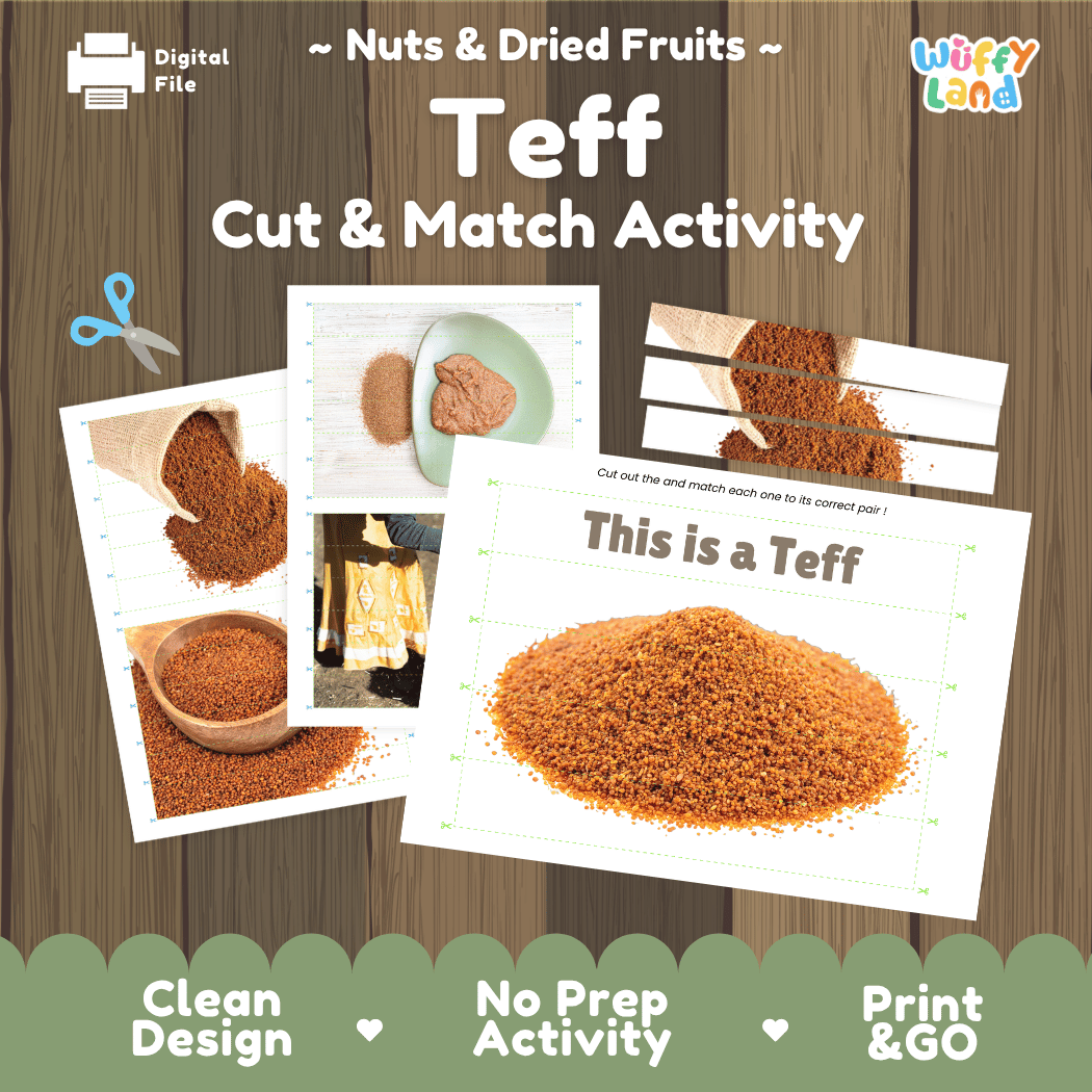 Teff Cut and Match Activity Worksheets | Nuts and Dried Fruits Puzzle Printables