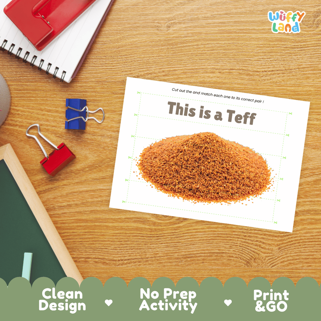 Teff Cut and Match Activity Worksheets | Nuts and Dried Fruits Puzzle Printables