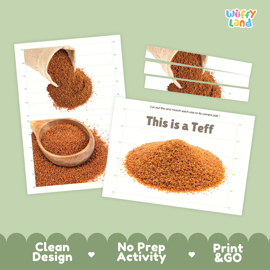 Teff Cut and Match Activity Worksheets | Nuts and Dried Fruits Puzzle Printables