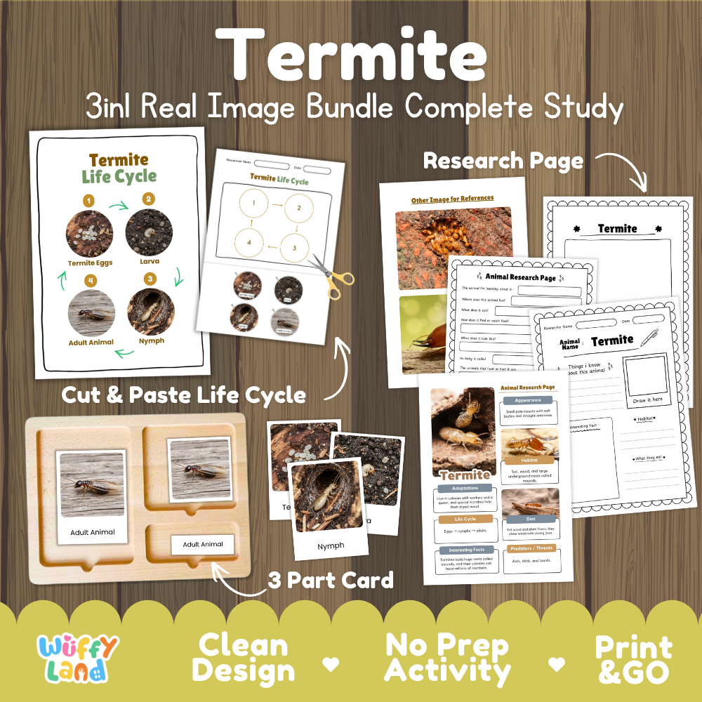 Termite 3-in-1 real image bundle complete study cover showing cut and paste life cycle, 3 part cards, and research pages