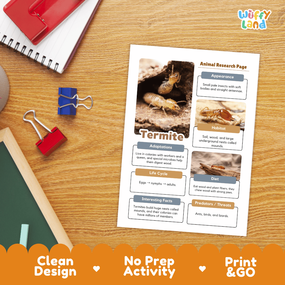 Termite Animal Research Page Worksheets and Fact Sheet Activity