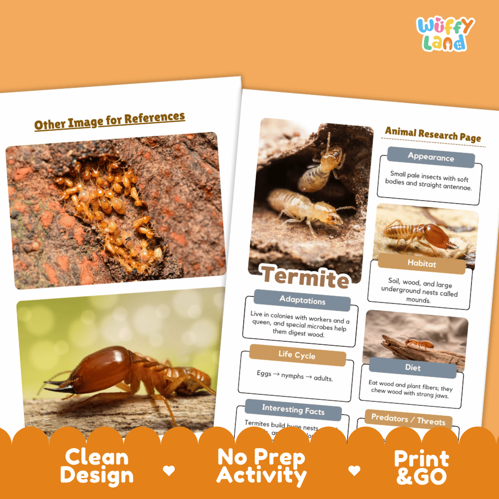 Termite Animal Research Page Worksheets and Fact Sheet Activity