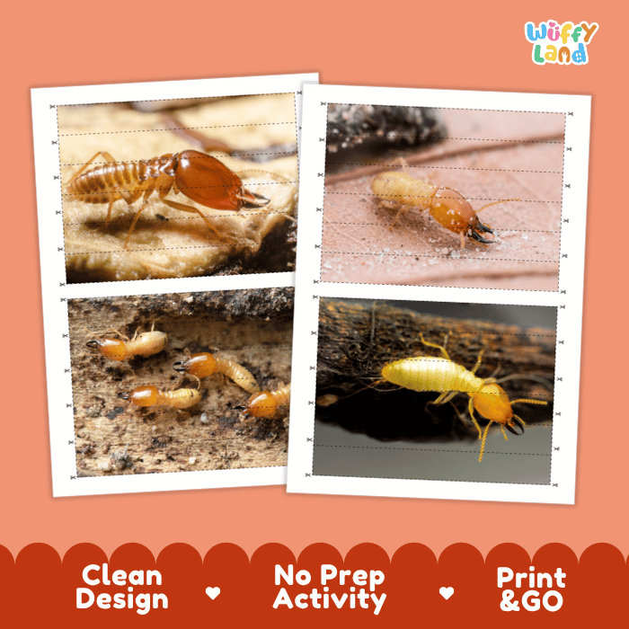 Termite Cut and Match Activity Worksheets | Animal Puzzle Printables