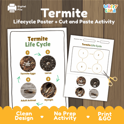 Termite Life Cycle Poster and Cut and Paste Activity Worksheets