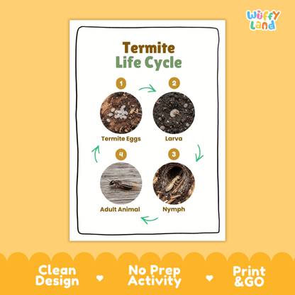 Termite Life Cycle Poster and Cut and Paste Activity Worksheets