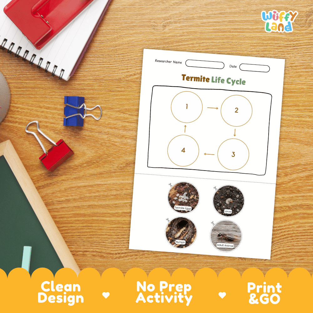 Termite Life Cycle Poster and Cut and Paste Activity Worksheets