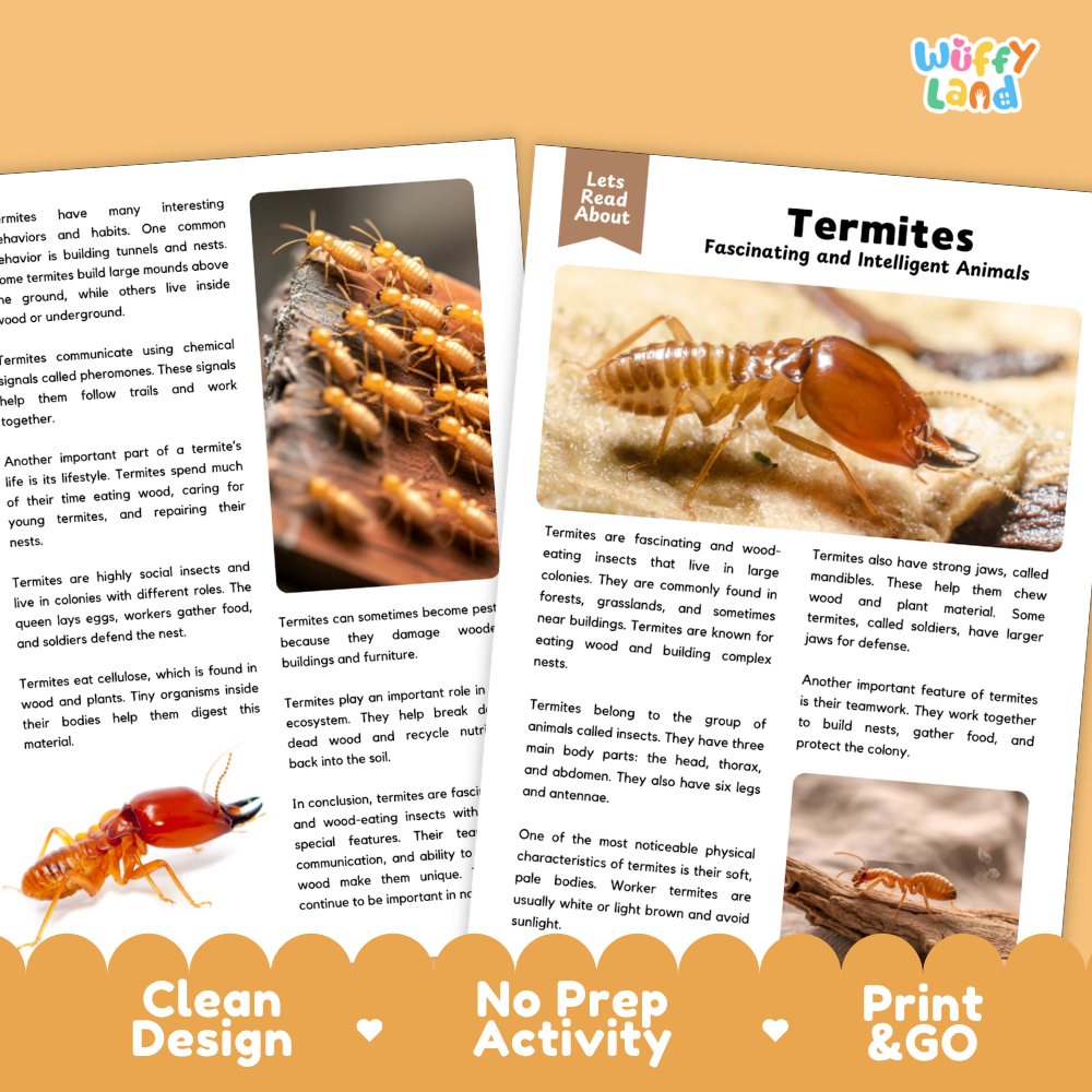 An educational activity sheet titled 'Termites Fascinating and Intelligent Animals' from the brand 'Wiffly Land'. The sheet features a colorful layout with a large photograph of termites on wood, multiple text columns, and decorative orange banners at the bottom that read 'Clean Design', 'No Prep Activity', and 'Print & GO'.