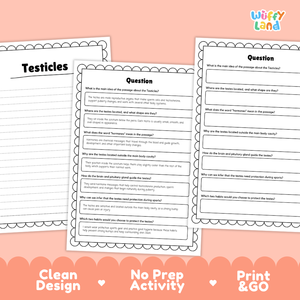 Informational reading passage page detailing human testicles testes male reproductive system scrotum testosterone sperm and health care with diagrams