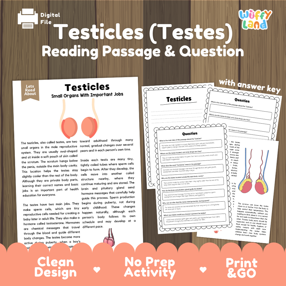 Testicles testes reading comprehension passage and questions printable activity pack with answer key for elementary students
