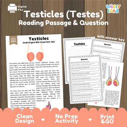 Testicles testes reading comprehension passage and questions printable activity pack with answer key for elementary students