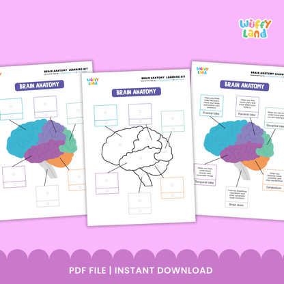 Printable Thanksgiving activity pages for kids, featuring fill-in-the-blank prompts such as “My Name Is,” “I am thankful for,” drawing boxes, and Thanksgiving-themed illustrations like turkeys, leaves, gifts, and balloons. Includes two worksheet designs for writing and drawing gratitude statements