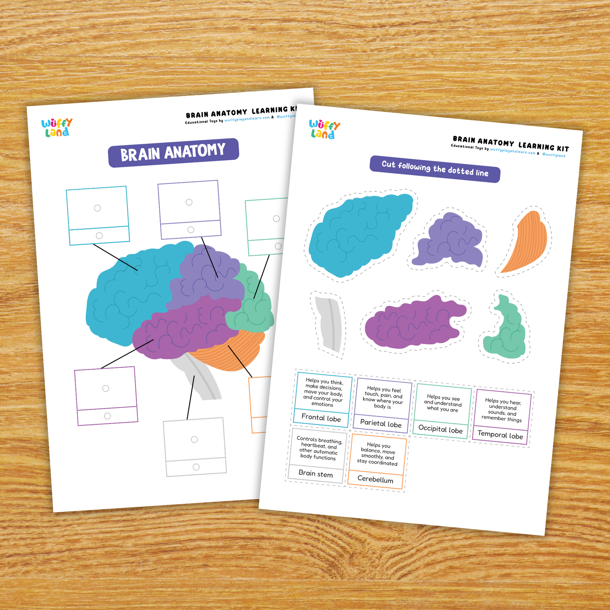 Printable Thanksgiving activity pages for kids, featuring fill-in-the-blank prompts such as “My Name Is,” “I am thankful for,” drawing boxes, and Thanksgiving-themed illustrations like turkeys, leaves, gifts, and balloons. Includes two worksheet designs for writing and drawing gratitude statements