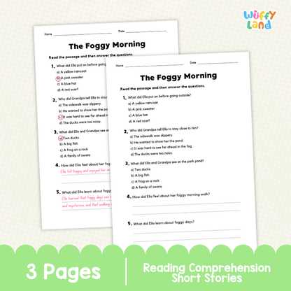 The Foggy Morning Reading Comprehension Passage and Questions Worksheets