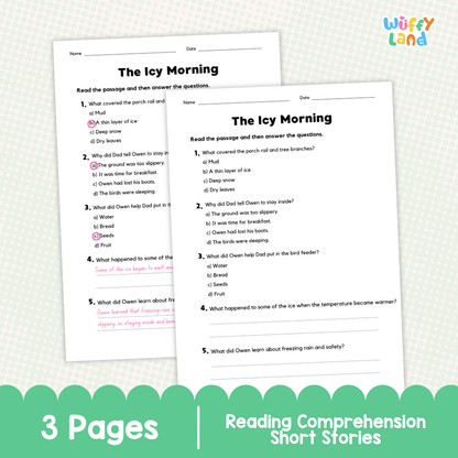 The Icy Morning Reading Comprehension Passage and Questions Worksheets