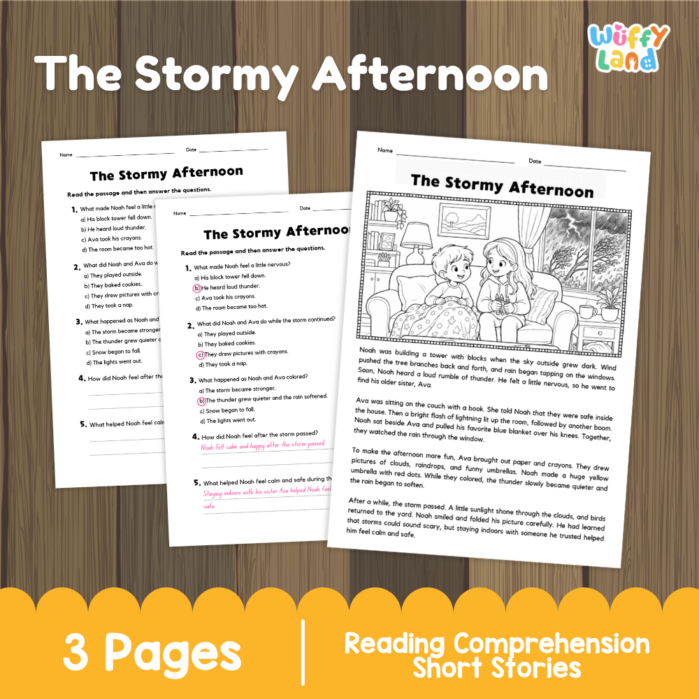 The Stormy Afternoon Reading Comprehension Passage and Questions Worksheets
