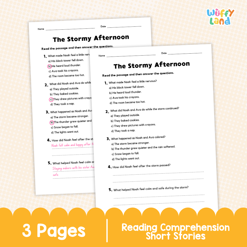 The Stormy Afternoon Reading Comprehension Passage and Questions Worksheets