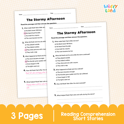 The Stormy Afternoon Reading Comprehension Passage and Questions Worksheets