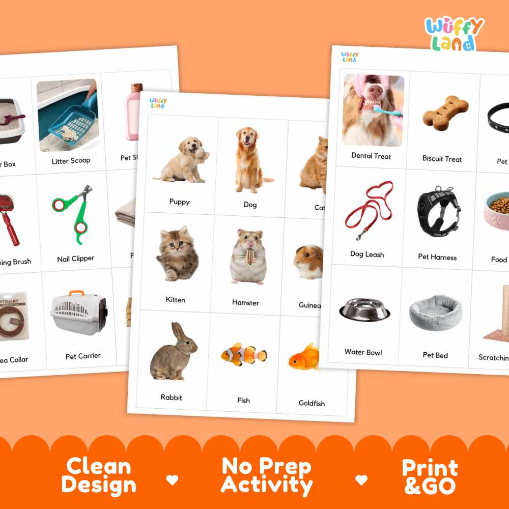 Things At The Pet Shop Vocabulary Flashcards and Matching Cards