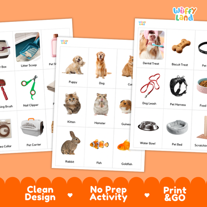 Things At The Pet Shop Vocabulary Flashcards and Matching Cards