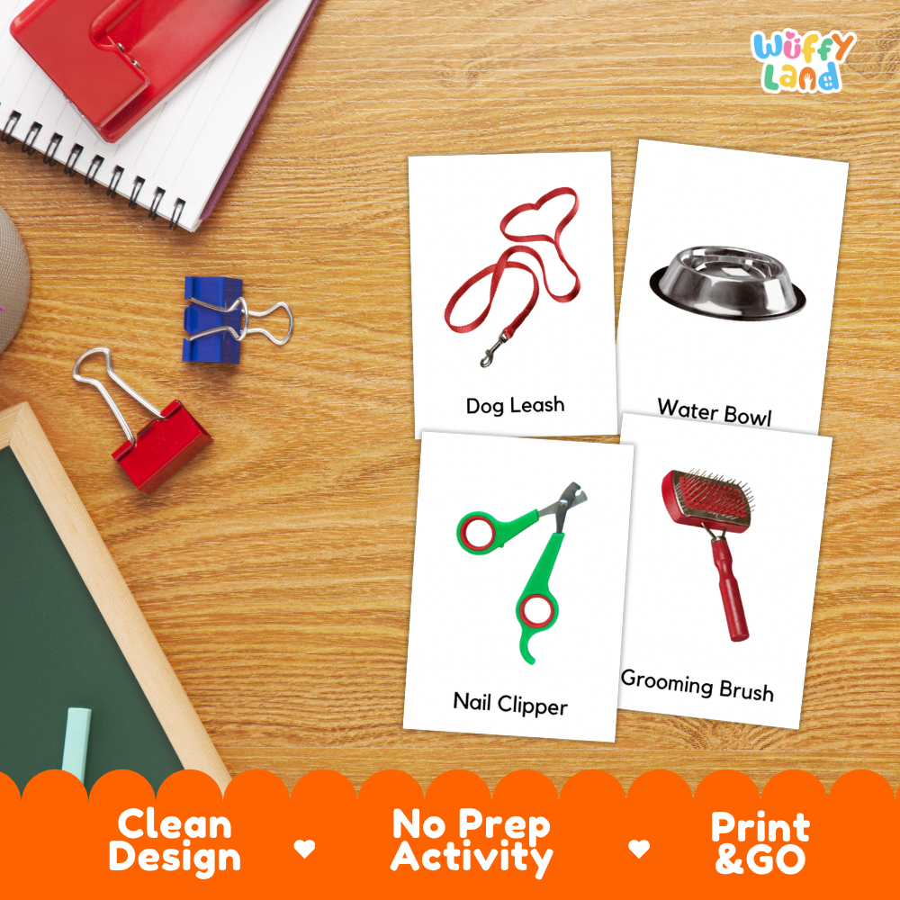 Things At The Pet Shop Vocabulary Flashcards and Matching Cards