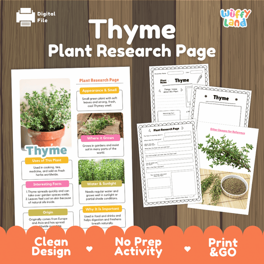 Educational thyme plant research worksheets and informational fact sheets with real plant photos for elementary students