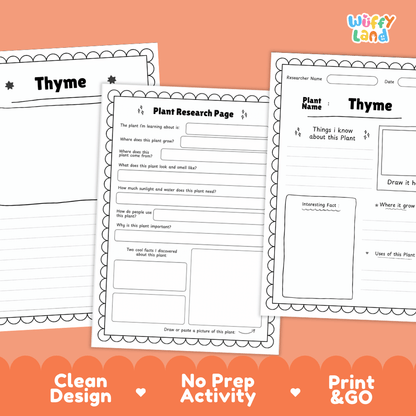 Thyme Plant Research Pages and Worksheets