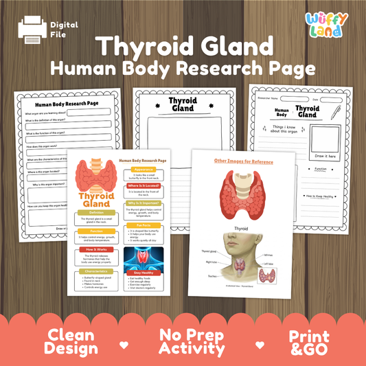 Thyroid Gland Human Body Research Page Worksheets and Reference Sheets