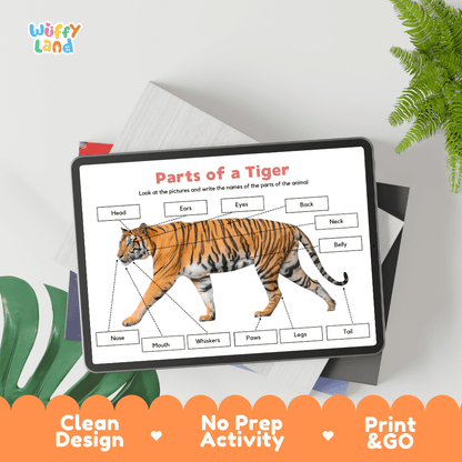 Hands-on tiger anatomy cut and paste worksheet with printable word tags, callout pointer lines, and scissors graphic