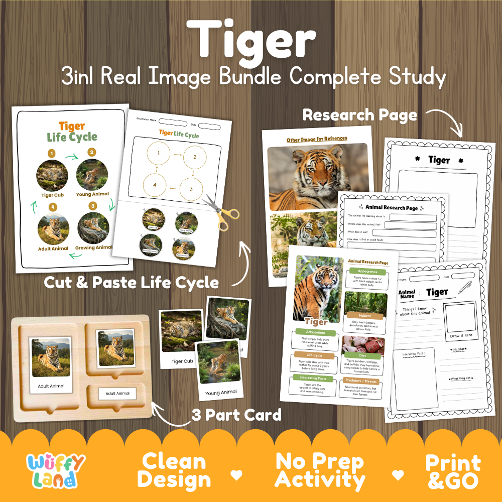 Tiger 3-in-1 real image bundle complete study cover showing cut and paste life cycle, 3 part cards, and research pages