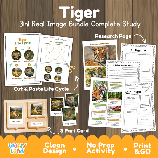 Tiger 3-in-1 real image bundle complete study cover showing cut and paste life cycle, 3 part cards, and research pages