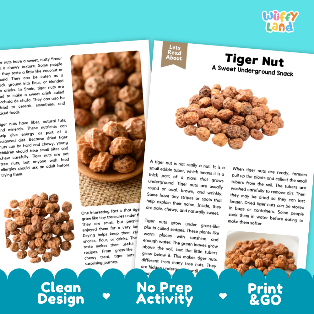 Tiger nut informational text worksheet with reading passage, comprehension questions and printable activities for elementary learners