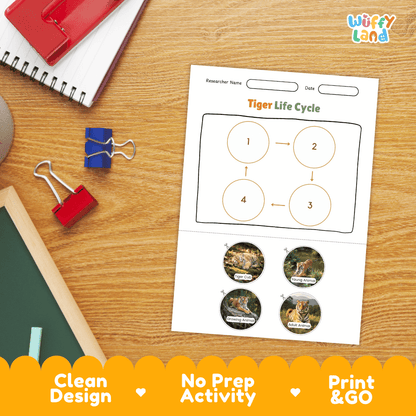 Tiger Life Cycle Poster and Cut and Paste Activity Worksheets