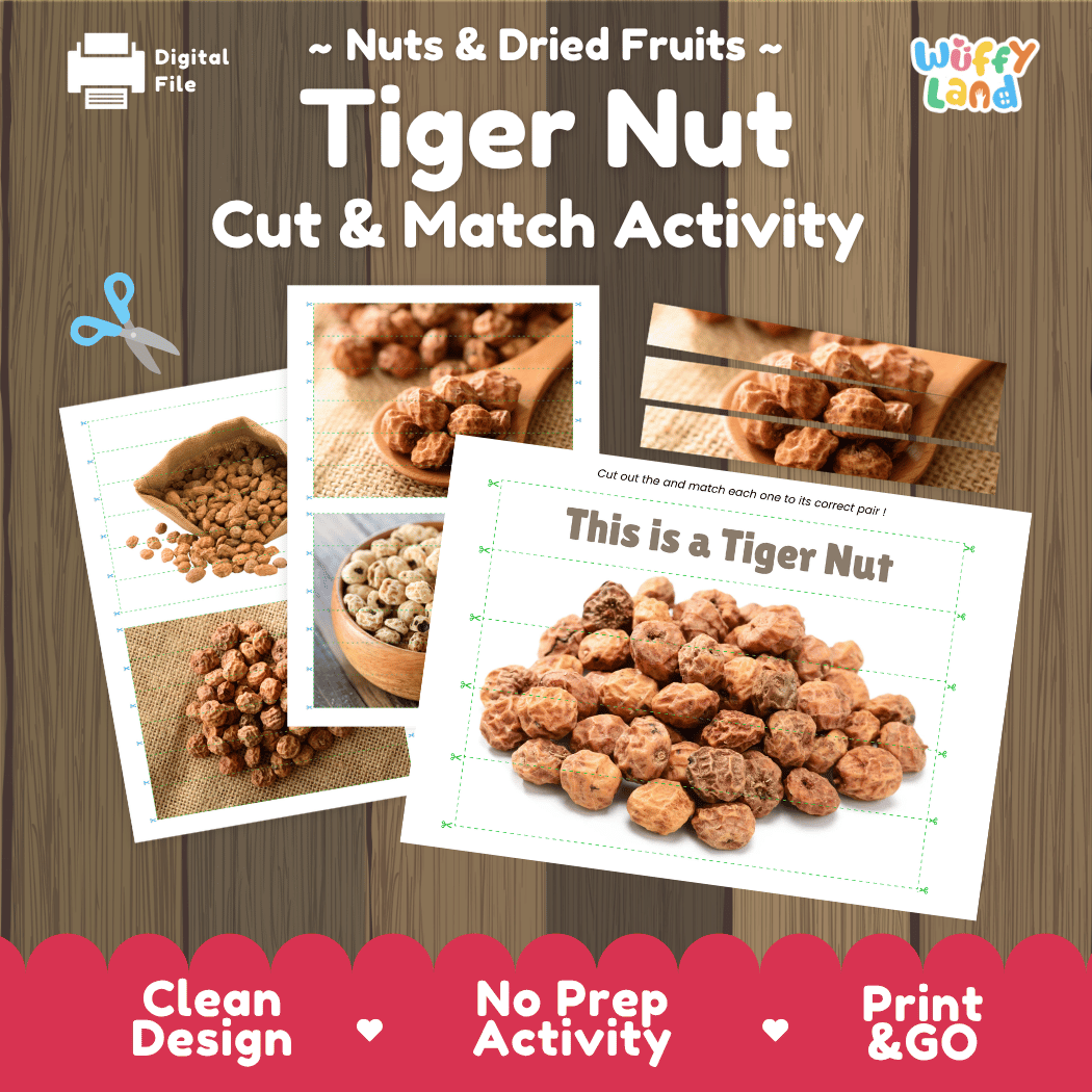 Tiger Nut Cut and Match Activity Worksheets | Nuts and Dried Fruits Puzzle Printables