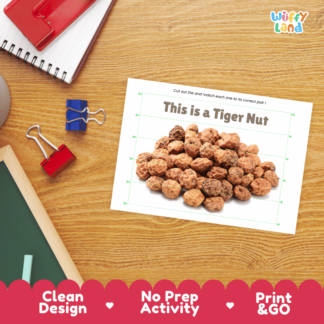 Tiger Nut Cut and Match Activity Worksheets | Nuts and Dried Fruits Puzzle Printables