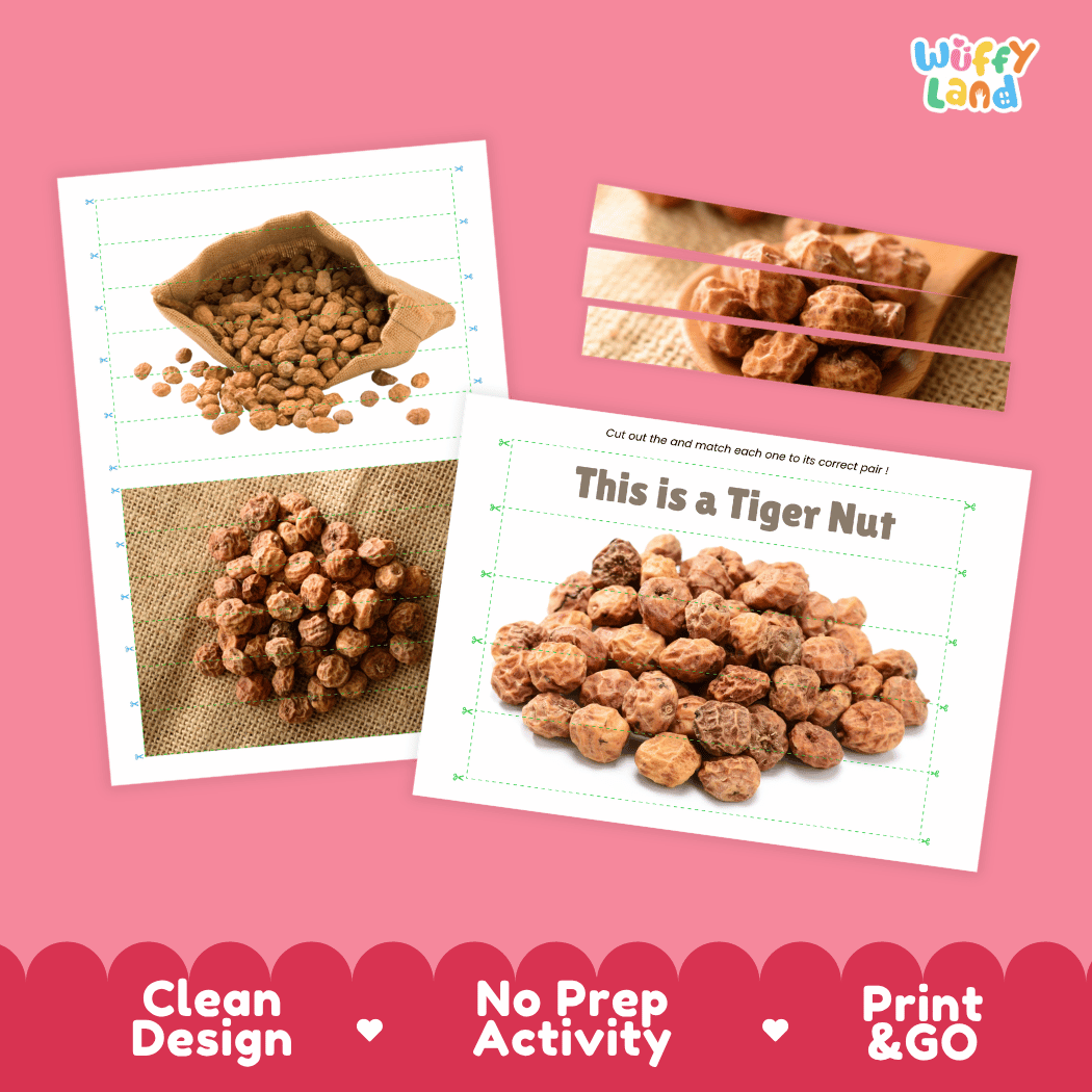 Tiger Nut Cut and Match Activity Worksheets | Nuts and Dried Fruits Puzzle Printables