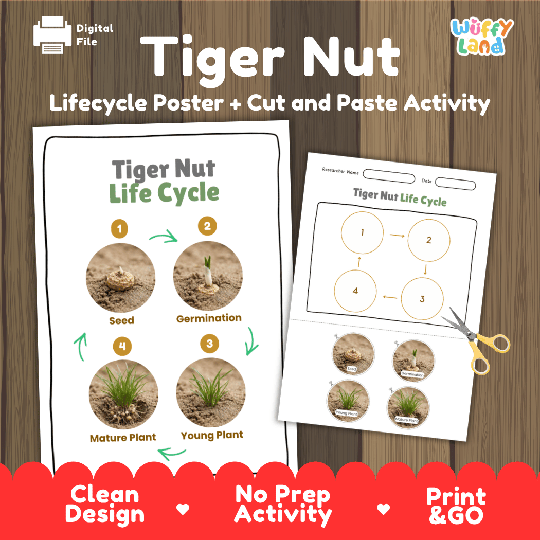 Tiger Nut Life Cycle Poster and Cut and Paste Activity Worksheets
