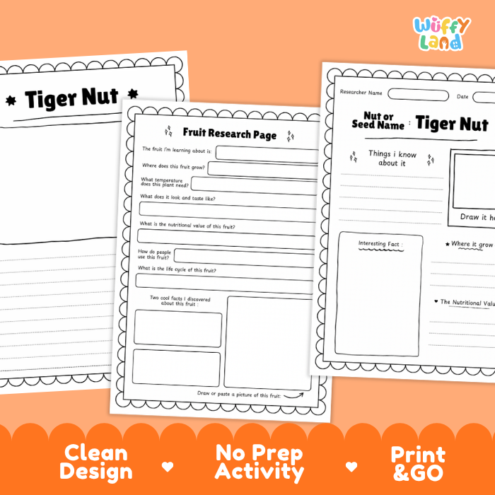 Three printable educational activity sheets for fruit research are displayed on an orange background. The sheets include templates for a 'Tiger Nut' worksheet, a 'Fruit Research Page', and a 'Nut or Seed Name' worksheet.