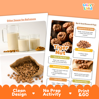 A promotional graphic for a 'Tiger Nut' educational print from 'Wiffy Land'. The layout features a printed page titled 'Tiger Nut' with sections on appearance, use, and facts, alongside reference images of tiger nuts, milk, and a sack of nuts.