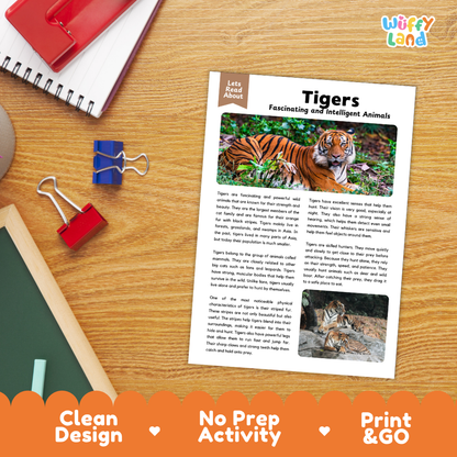 An educational activity sheet titled 'Tigers Fascinating and Intelligent Animals' displayed on a wooden desk with school supplies. The sheet features a large tiger photo, text, and a smaller tiger photo, with 'Lets Read Again' and a 'Wiffly land' logo.