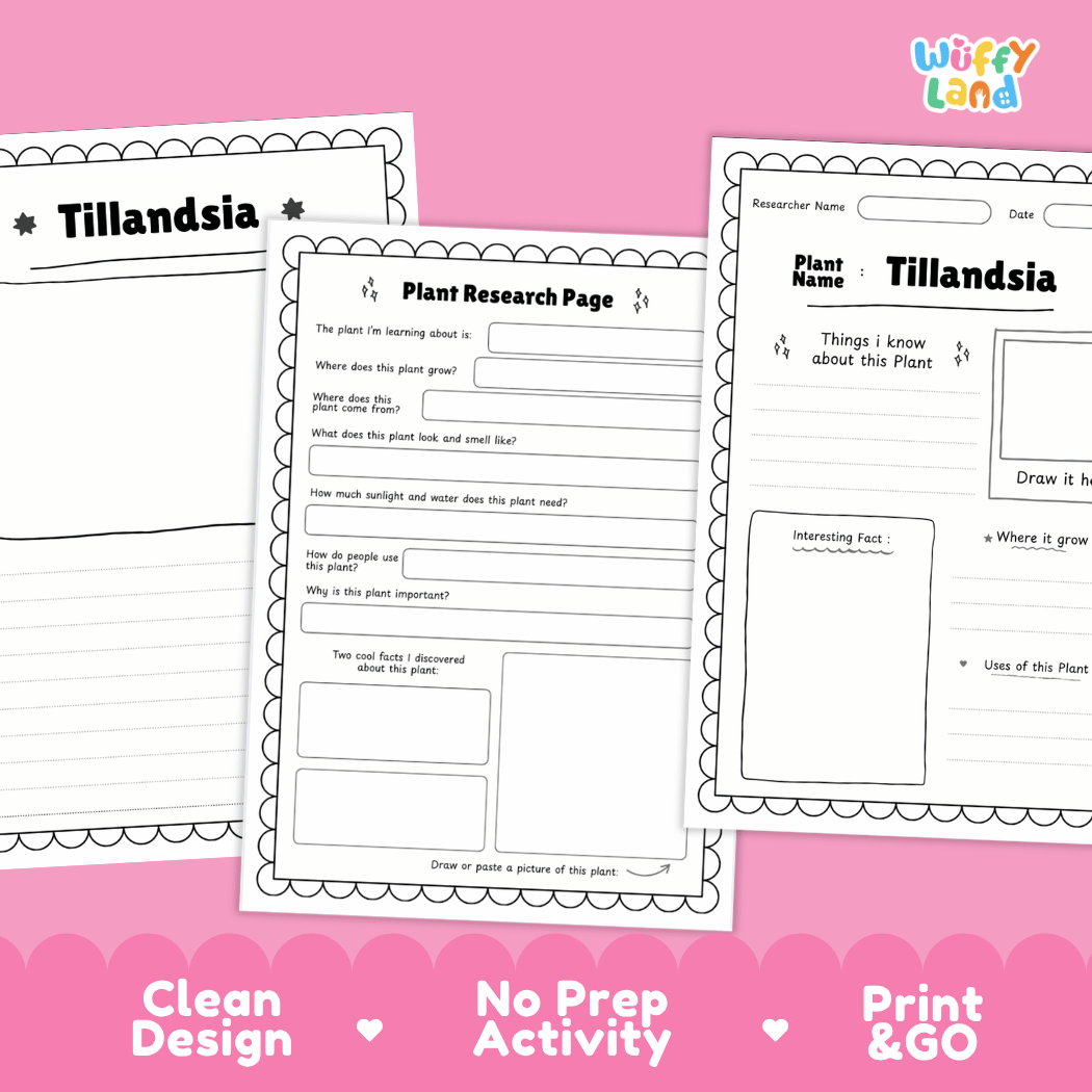 Tillandsia Plant Research Pages and Worksheets