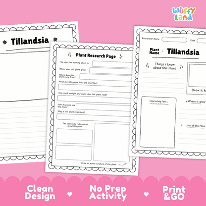 Tillandsia Plant Research Pages and Worksheets