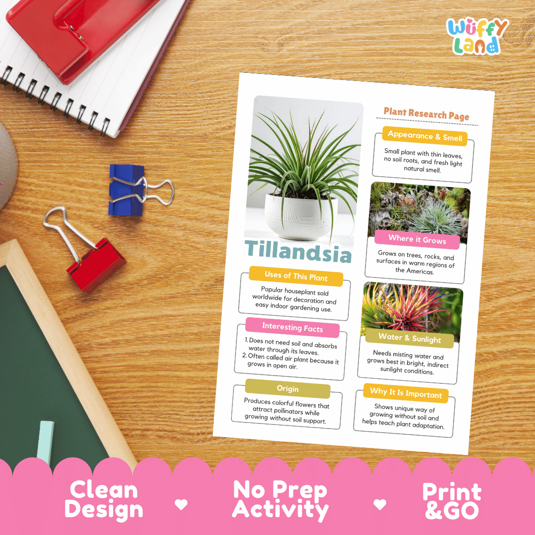 Tillandsia Plant Research Pages and Worksheets