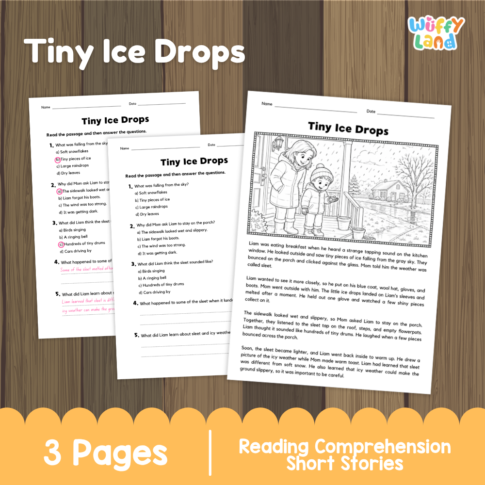 Tiny Ice Drops Reading Comprehension Passage and Questions Worksheets