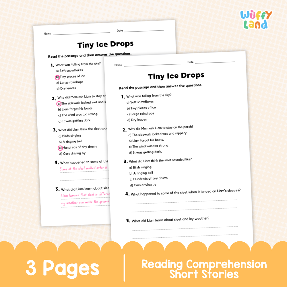 Tiny Ice Drops Reading Comprehension Passage and Questions Worksheets