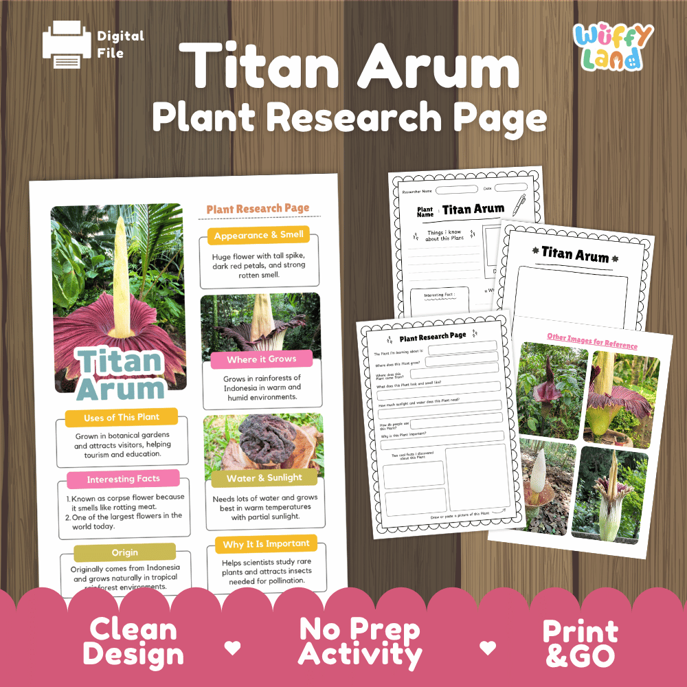 Titan Arum Plant Research Page Worksheets and Fact Sheet
