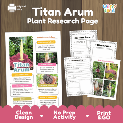 Titan Arum Plant Research Page Worksheets and Fact Sheet