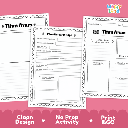 Titan Arum Plant Research Page Worksheets and Fact Sheet