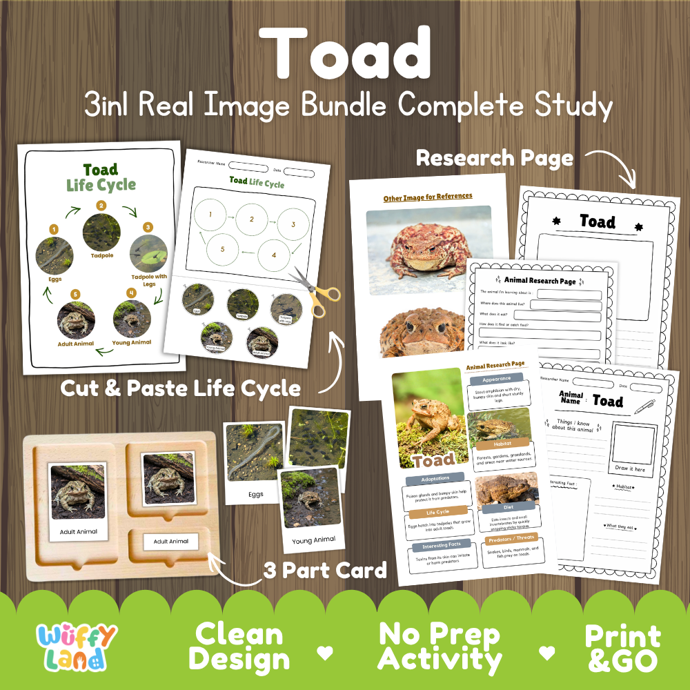 Toad 3-in-1 real image bundle complete study cover showing cut and paste life cycle, 3 part cards, and research pages
