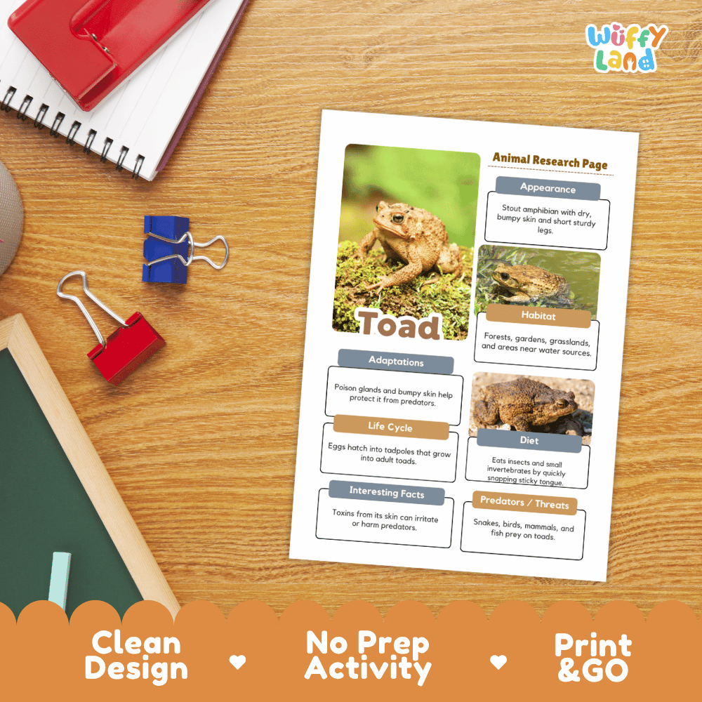 Toad Animal Research Page Worksheets